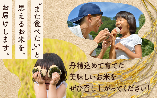 【発送時期が選べる】令和7年産  石川県能登産 こしひかり 玄米5kg （5kg×1個） 米 玄米 5kg 日本初！世界農業遺産認定「能登の里山里海」の恵み ｜石川県 七尾市 能登 コシヒカリ お米  ブランド米 復興 復興支援