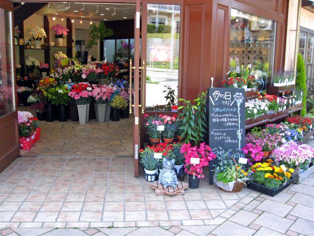 水引BOXプリザーブドフラワー（ピンク）