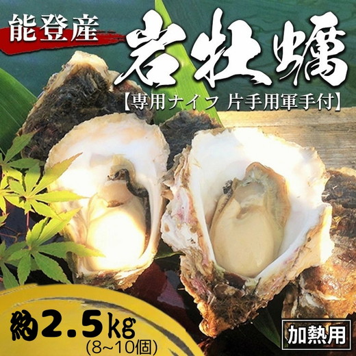 能登産 岩牡蠣（2.5kgセット／8〜10個入）専用ナイフ 片手用軍手付 加熱用 冷蔵配送 ｜ カキ かき オイスター 国産 殻付き BBQ バーベキュー キャンプ カキフライ 牡蠣鍋 海鮮 魚介 石川県 七尾市 能登 復興 復興支援※2026年6月下旬～8月上旬頃に順次発送予定 ※離島への配送不可