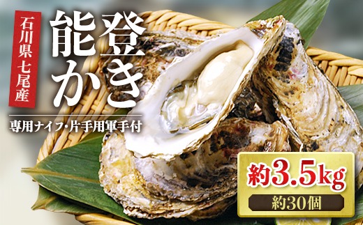 【能登半島地震復興支援】魚介類 牡蠣　/ 能登かき 殻付 牡蠣 約3.5kg（約30個）専用ナイフ・片手用軍手付 石川県 七尾市 能登 ※加熱用 ※2026年1月下旬～5月下旬頃に順次発送予定 ※離島への配送不可
