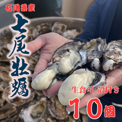 七尾牡蠣10個入り ｜ 牡蠣 カキ かき 殻付き 七尾牡蠣 オイスター シングルシード 国産 生食 冷蔵 カキフライ 牡蠣鍋 海鮮 魚介 石川県 七尾市 能登 復興 復興支援 ※北海道・沖縄・離島への配送不可　 ※2026年1月上旬頃より順次発送予定