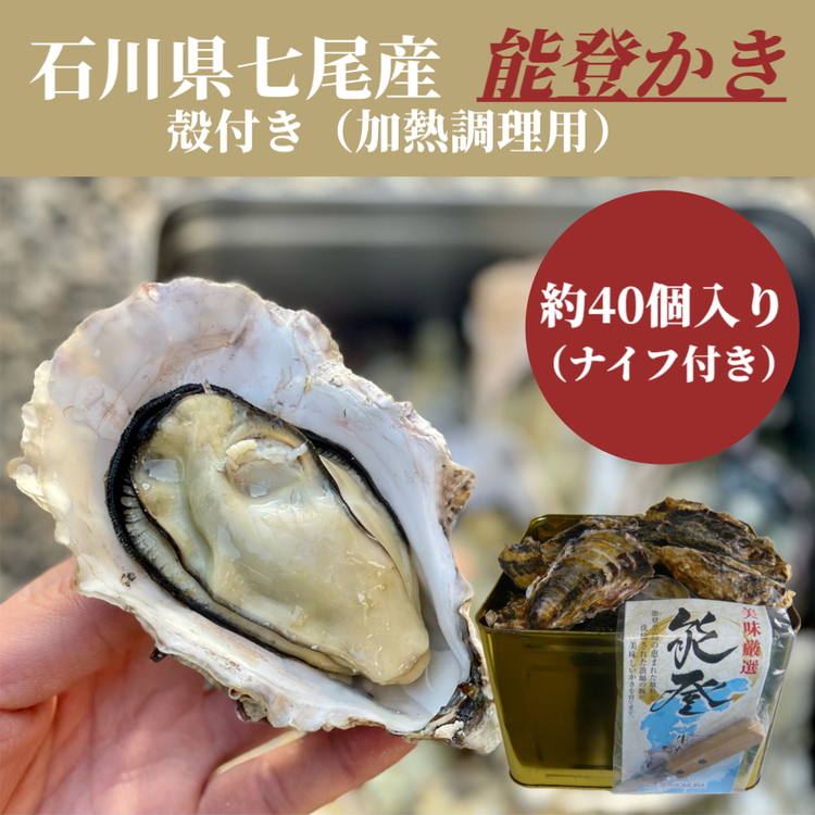 石川県七尾産 能登かき 殻付き 半缶（約40個）｜ 牡蠣 カキ かき オイスター 国産 加熱用 冷蔵 ガンガン カンカン 缶 BBQ バーベキュー キャンプ カキフライ 牡蠣鍋 海鮮 魚介 石川県 七尾市 能登 復興 復興支援 ※北海道・沖縄・離島への配送不可 ※2025年12月上旬～2026年5月下旬頃に順次発送予定