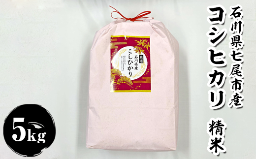 石川県七尾市産　コシヒカリ　精米　5Kg　※2025年11月上旬～2026年3月下旬頃に順次発送予定