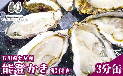 飛田水産　石川県七尾産　能登かき　殻付き3分缶｜牡蠣　専用ナイフ 牡蠣 かき カキ 能登の里山里海 石川県七尾市 能登半島　※要加熱 ※2026年1月上旬～5月下旬頃に順次発送予定 ※北海道・沖縄・離島への発送不可