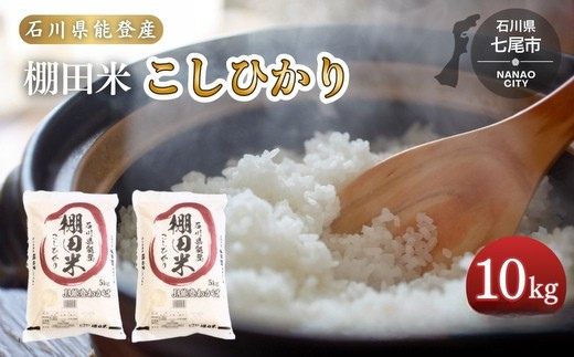 令和7年産 棚田米 こしひかり10kg（5kg×2袋）米 ｜ 世界農業遺産に認定された『能登の里山里海』で育まれたお米 石川県 七尾市 能登 ※2025年12月中旬頃より順次発送予定