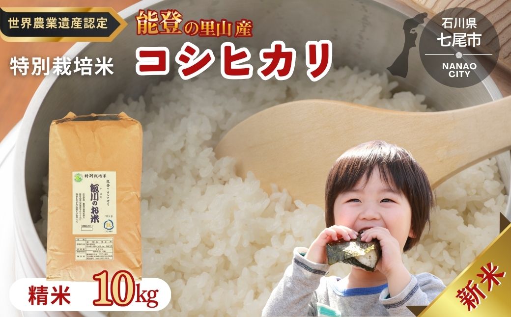 米 /能登のコシヒカリ　飯川のお米　10kg（精米10kg×1袋）特別栽培米 ※2024年10月中旬～2025年3月下旬頃に順次発送予定 石川県 七尾市