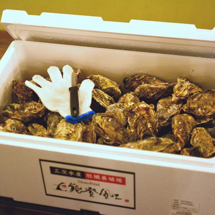 【発送時期が選べる】魚介類 牡蠣 / 能登風土 七尾産「能登かき」殻付き（発泡スチロール梱包(大)）◇  ｜ カキ かき オイスター 国産 BBQ バーベキュー キャンプ カキフライ 牡蠣鍋 海鮮 石川県 七尾市 能登 復興 復興支援 ※必ずよく加熱してお召し上がりください ※離島への配送不可 ※2025年11月下旬～2026年5月上旬頃に順次発送予定