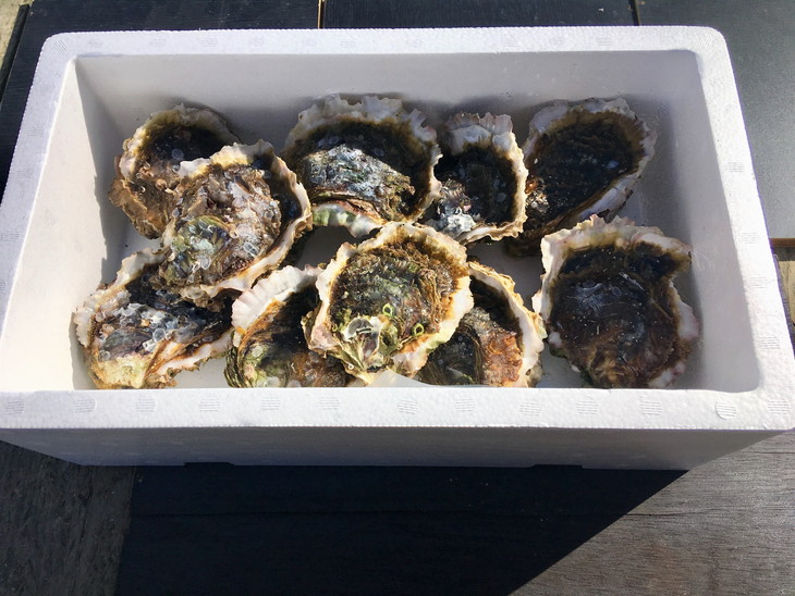 能登産岩牡蠣（2kgセット/8～10個）加熱用 専用ナイフ 片手用軍手付　※2026年6月下旬～8月上旬頃に順次発送予定　※離島への配送不可