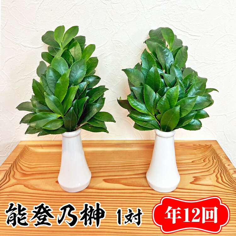 【定期便】能登乃榊 1対 年12回（1年間定期配送） ※着日指定不可