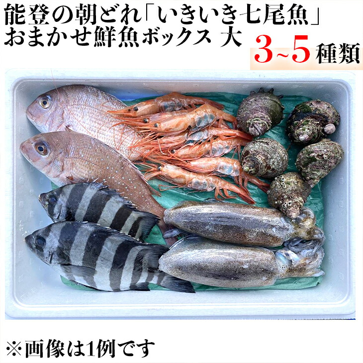能登の朝どれ「いきいき七尾魚」おまかせ鮮魚ボックス 大（3～5種類）（下処理なし） ｜ 魚 新鮮 詰め合わせ ※北海道・青森・沖縄・離島及び九州（福岡県を除く）配送に2日以上かかる地域へのお届け不可