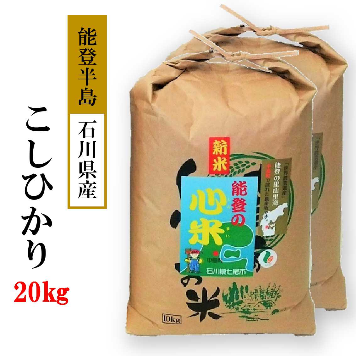 令和7年産 20kg  こしひかり 能登の心米（精米20Kg）10kg×2袋 |  白米 コシヒカリ ブランド米 お米　 石川県 七尾市 復興 復興支援