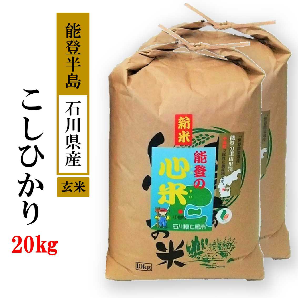 令和以7年産米 20kg こしひかり 能登の心米（玄米20kg/10kg×2袋）｜お米 コシヒカリ ブランド米 石川県産 能登 産地直送 七尾市 復興 復興支援