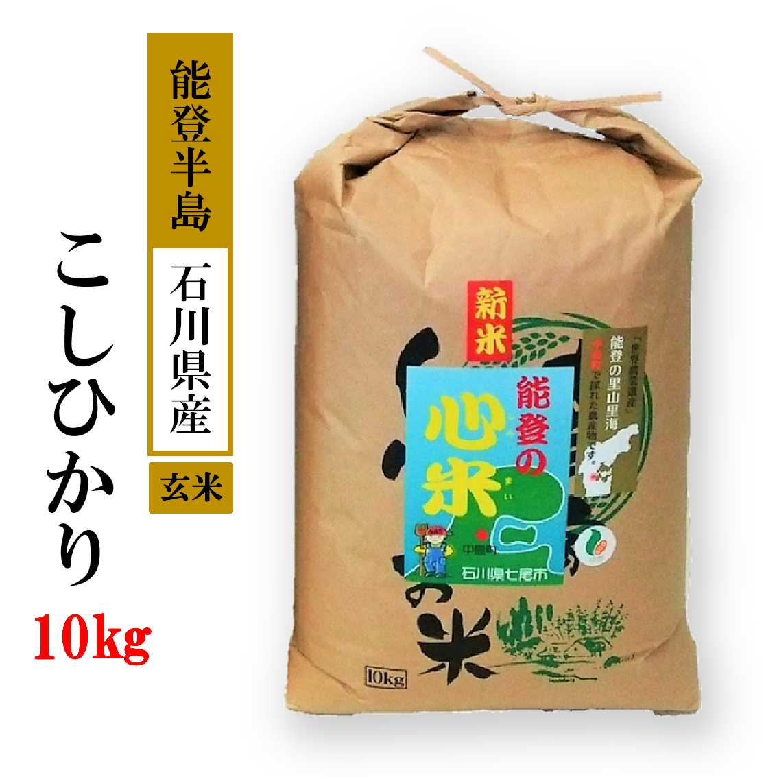 令和7年産 10kg  こしひかり 能登の心米（玄米10kg）10kg×1袋 ｜白米 お米 コシヒカリ  石川県 能登 七尾市 復興 復興支援