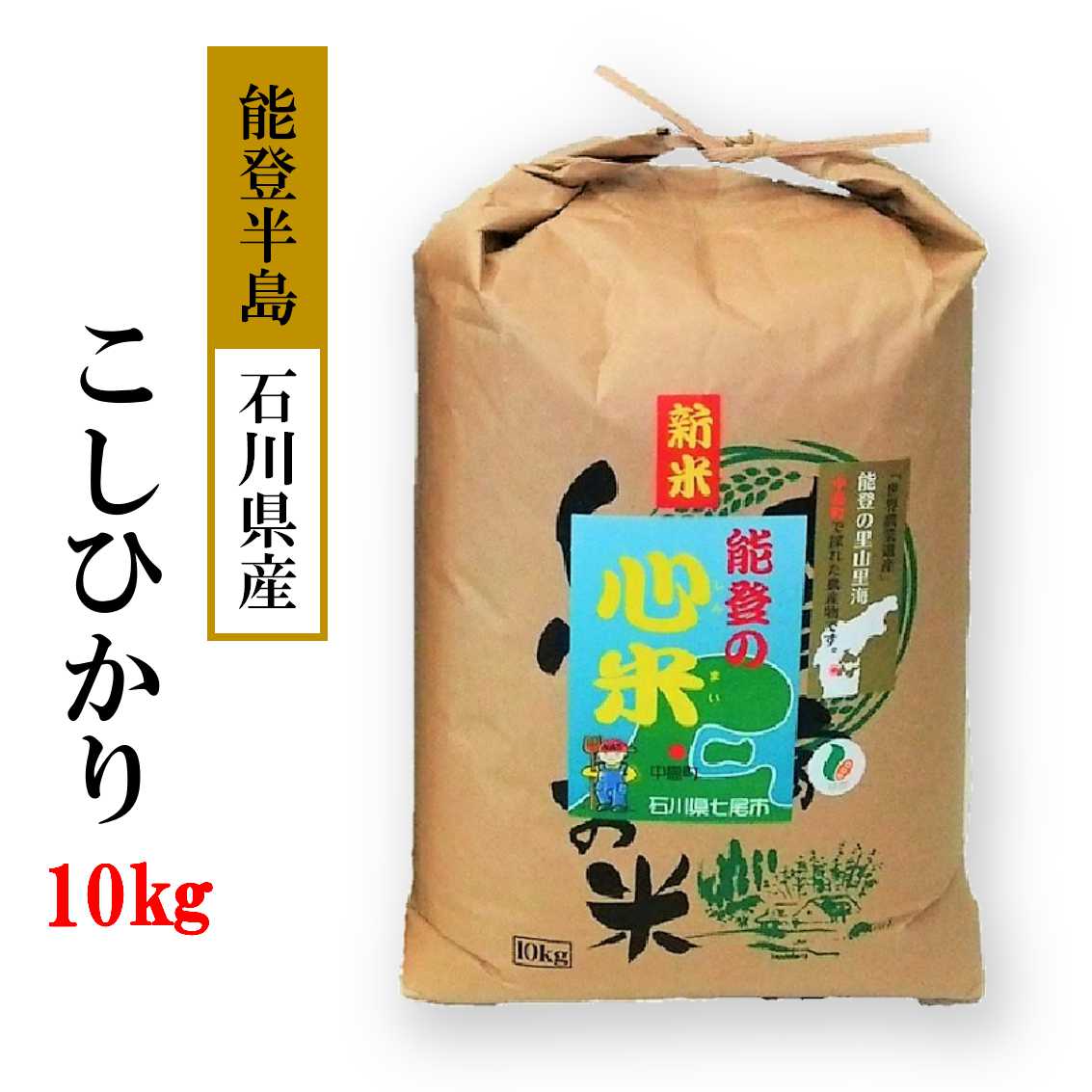 令和7年産 10kg  こしひかり 能登の心米（精米10kg）10kg×1袋｜ 白米 お米 コシヒカリ ブランド米  石川県 能登 七尾市 復興 復興支援