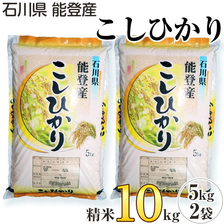 石川県 能登産 こしひかり 精米10kg（5kg×2袋）※2024年1月中旬～2月下旬頃に順次発送予定