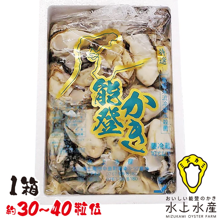 【能登半島地震復興支援】【発送時期が選べる】魚介類 牡蠣 水上水産の能登のかき むき身 約800g～900g入（30～40粒位） 牡蠣 養殖 冷蔵配送 不在日対応可能 貝 ※離島への配送不可 石川県 七尾市 能登 ※2025年12月中旬～2026年4月下旬頃に順次発送予定