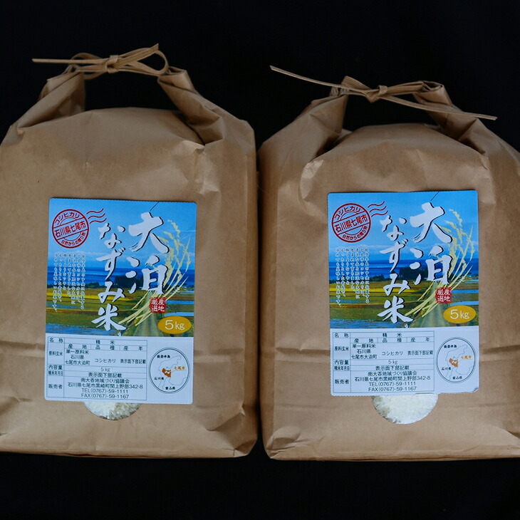 米 10kg / 大泊なずみ米 10kg（5kg×2袋）精米　※2024年10月中旬～2025年3月下旬頃に順次発送予定