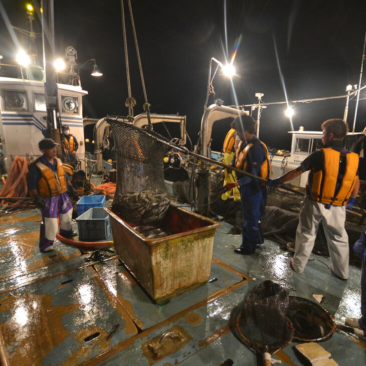 大型定置網 漁師体験（漁師めし体験コース）