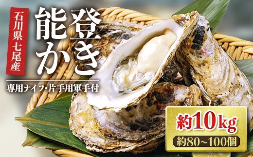 【能登半島地震復興支援】魚介類 牡蠣／能登かき　殻付牡蠣 一斗缶/約10kg（約80～100個） 専用ナイフ 片手用軍手付 /世界農業遺産「能登の里山里海」 石川県 七尾市 能登 ※要加熱 ※2026年1月下旬～5月下旬頃に順次発送予定 ※離島への配送不可