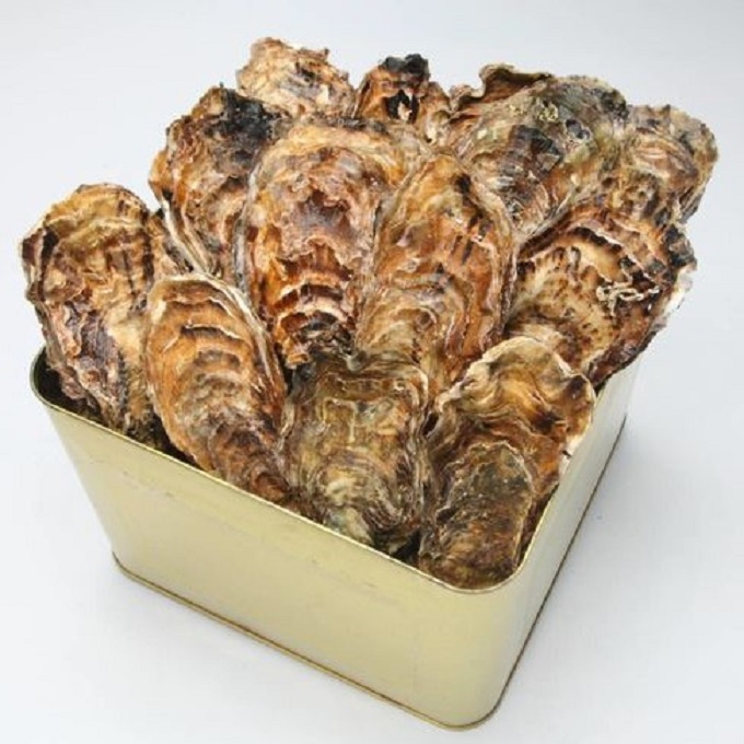 【発送時期が選べる】魚介類 牡蠣 / 山口水産の能登かき / 殻付き半缶[殻付き約35～40個]◇ ｜ カキ かき 殻付き オイスター 国産 加熱用 冷蔵 カンカン 缶 BBQ バーベキュー キャンプ  カキフライ 牡蠣鍋 海鮮 山口水産 石川県 七尾市 能登 復興 復興支援 ※2026年1月中旬～5月中旬頃に順次発送予定 ※離島への配送不可