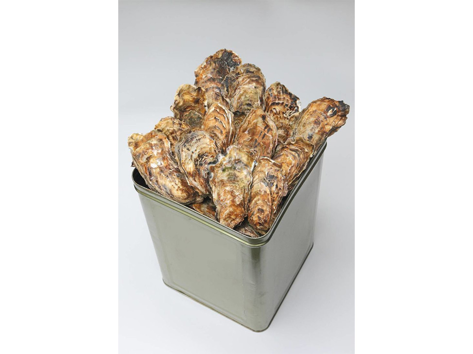 【発送時期が選べる】魚介類 牡蠣 / 山口水産の能登かき / 殻付き一斗缶[殻付き約70～80個]◇｜ カキ かき 殻付き オイスター 国産 加熱用 冷蔵 カンカン 缶 BBQ バーベキュー キャンプ  カキフライ 牡蠣鍋 海鮮 山口水産 石川県 七尾市 能登 復興 復興支援 ※2026年1月中旬～5月中旬頃に順次発送予定 ※離島への配送不可