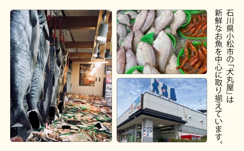 国産うなぎ蒲焼２尾 鰻 かば焼き