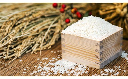 【最高の食味】山里清流米コシヒカリ１０ｋｇ