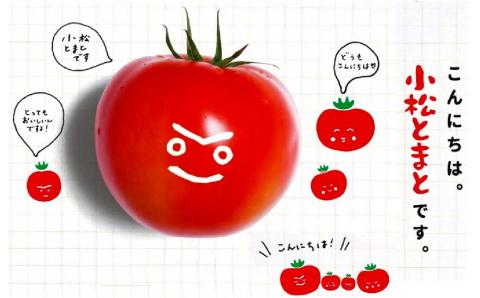 おいしいトマトでつくったカレー5箱セット レトルト パウチ カレー 石川県 小松市 北陸