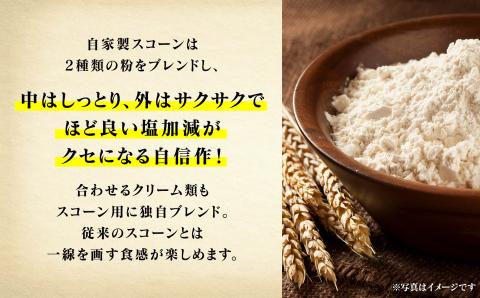 スコーンサンドセット(8個入り)