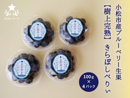 小松産ブルーベリー【きらぼしべりぃ】生果　400g 石川県 小松市 北陸