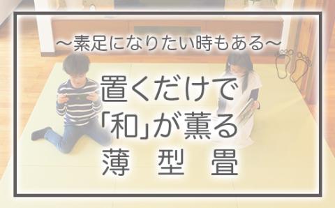 【置くだけでくつろげる畳空間に】 8ミリ置き畳「凪-NAGI-」 9枚 366001