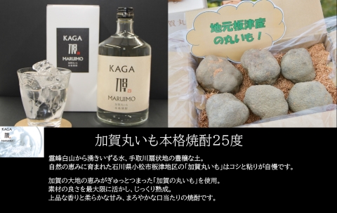 《JA小松市》加賀丸いも焼酎25度 720ml お酒 芋焼酎  石川県 小松市 北陸