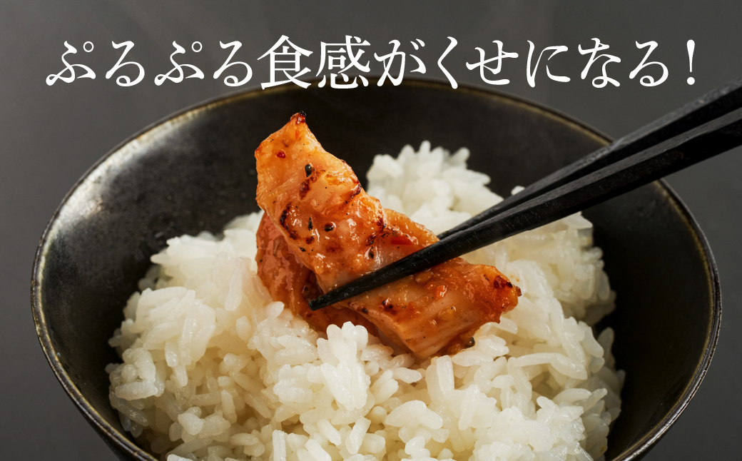 【中出精肉店】国産豚の特上シロ720ｇ（4人前×2袋） ホルモン 冷凍便 石川県 小松市 北陸