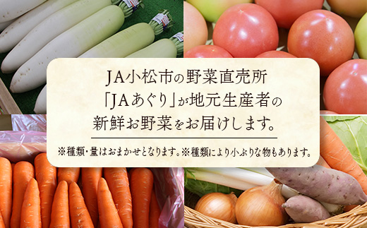 JA小松市 季節の野菜詰合せ 旬の野菜詰め合わせ
