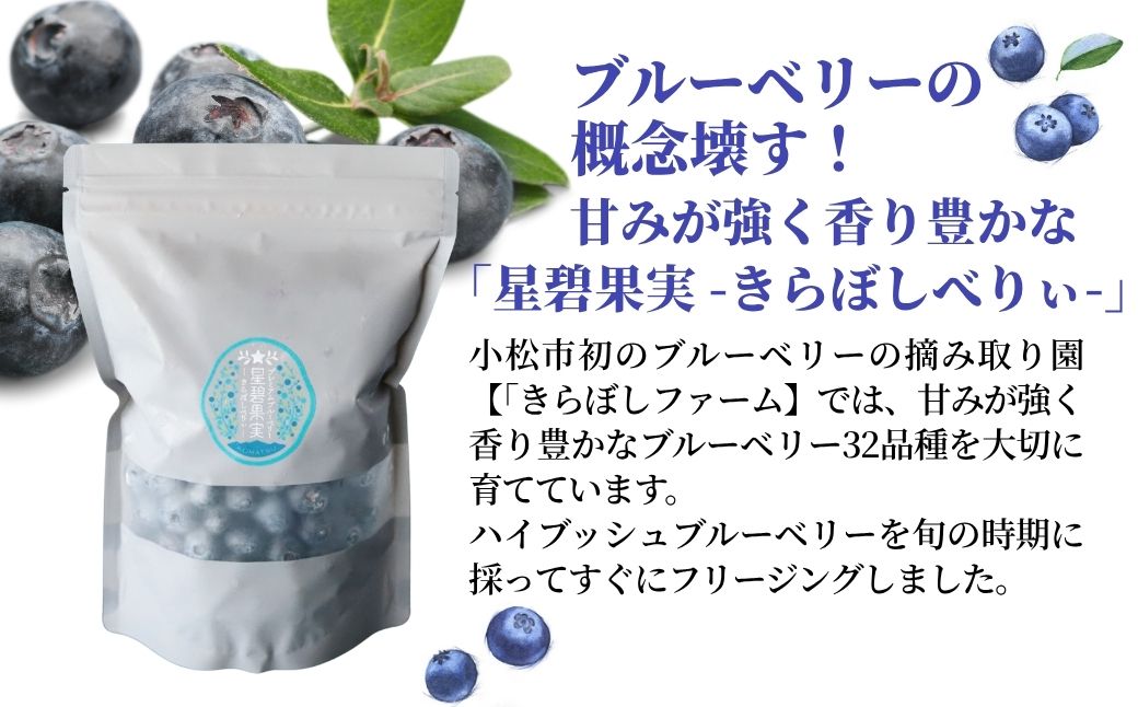 冷凍ブルーベリー 500g×3袋【きらぼしべりぃ】ブルーベリー フルーツ 冷凍