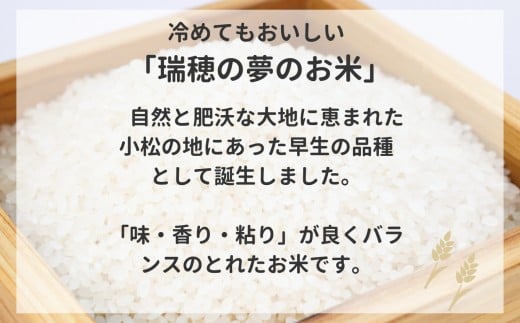 【先行予約】令和8年産 小松産 ゆめみづほ 精米 20kg（5kg×4袋） 米 お米｜石川県 小松市 JA小松市