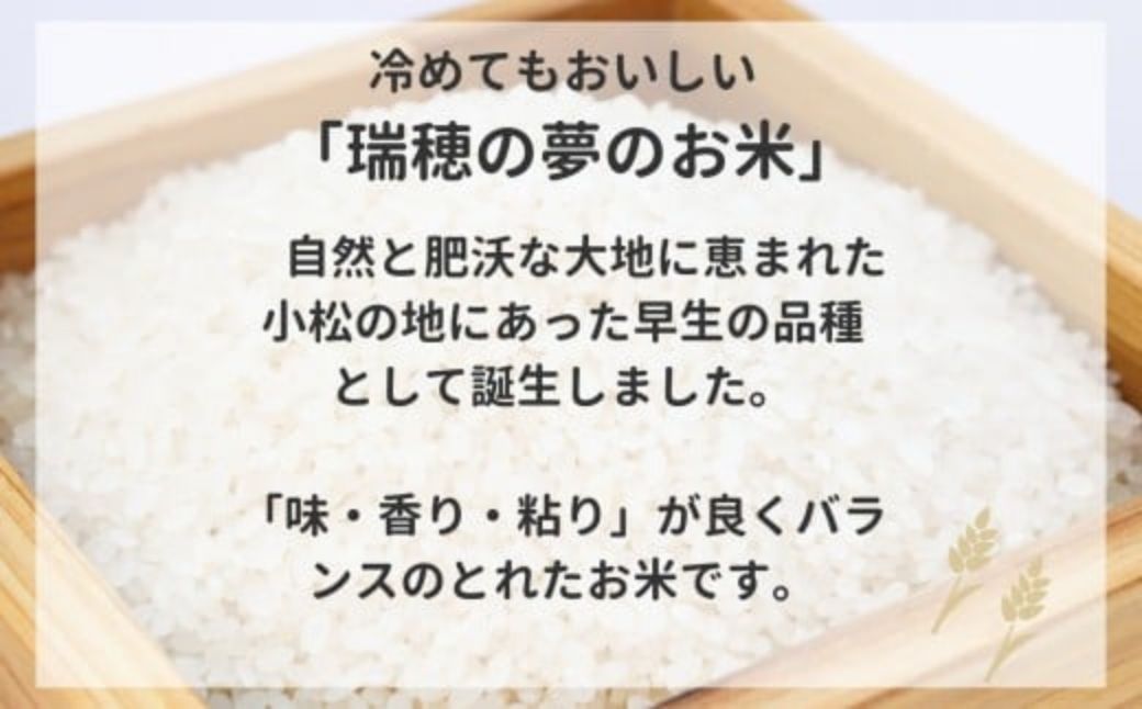 【先行予約】【定期便】令和8年産 小松産 ゆめみづほ 精米 5kg×6ヶ月（毎月） 米 お米｜石川県 小松市 JA小松市