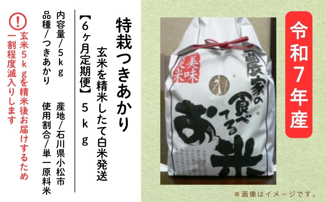 【6ヶ月定期便】特栽つきあかり（玄米5kを精米したて白米発送）令和7年産 | 石川県 小松市【のむら農産】