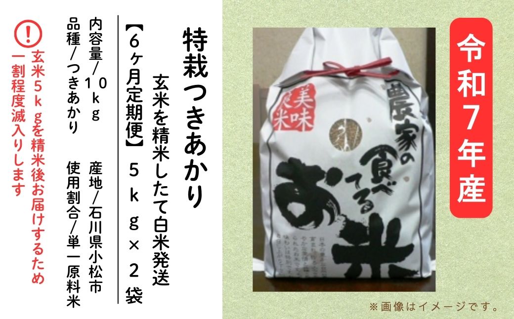 【６ヶ月定期便】特栽つきあかり（玄米10kを精米したて白米発送）令和7年産 | 石川県 小松市【のむら農産】