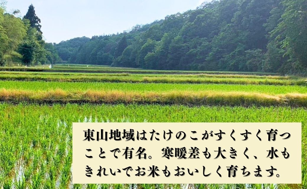 【先行予約】【定期便】令和8年産 コシヒカリ 精米10kg×6ヶ月（毎月） お米 白米 こしひかり｜石川県 小松市 【元田農産】