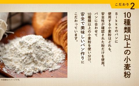 ベーグル ナチュラルプレーンベーグル　10個セット Bikke