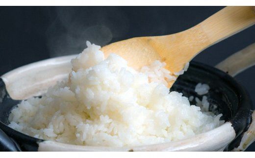 【最高の食味】山里清流米コシヒカリ１０ｋｇ