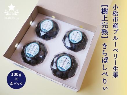 小松産ブルーベリー【きらぼしべりぃ】生果　400g 石川県 小松市 北陸