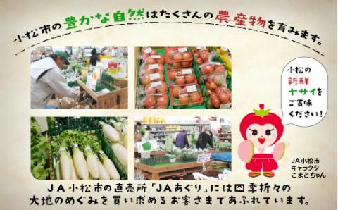 JA小松市 季節の野菜詰合せ 旬の野菜詰め合わせ