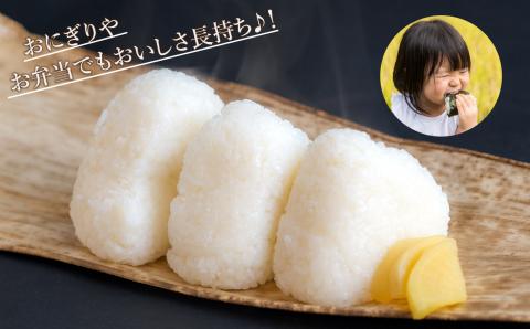 こしひかり精米5kg 令和7年産 精米 米 小松市産コシヒカリ | 石川県 小松市 JA小松市