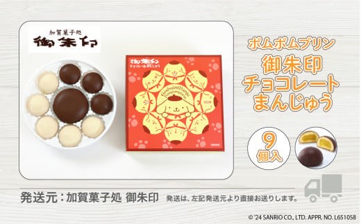 饅頭 和菓子 洋菓子 チョコ菓 御朱印チョコレートまんじゅう ９個入り