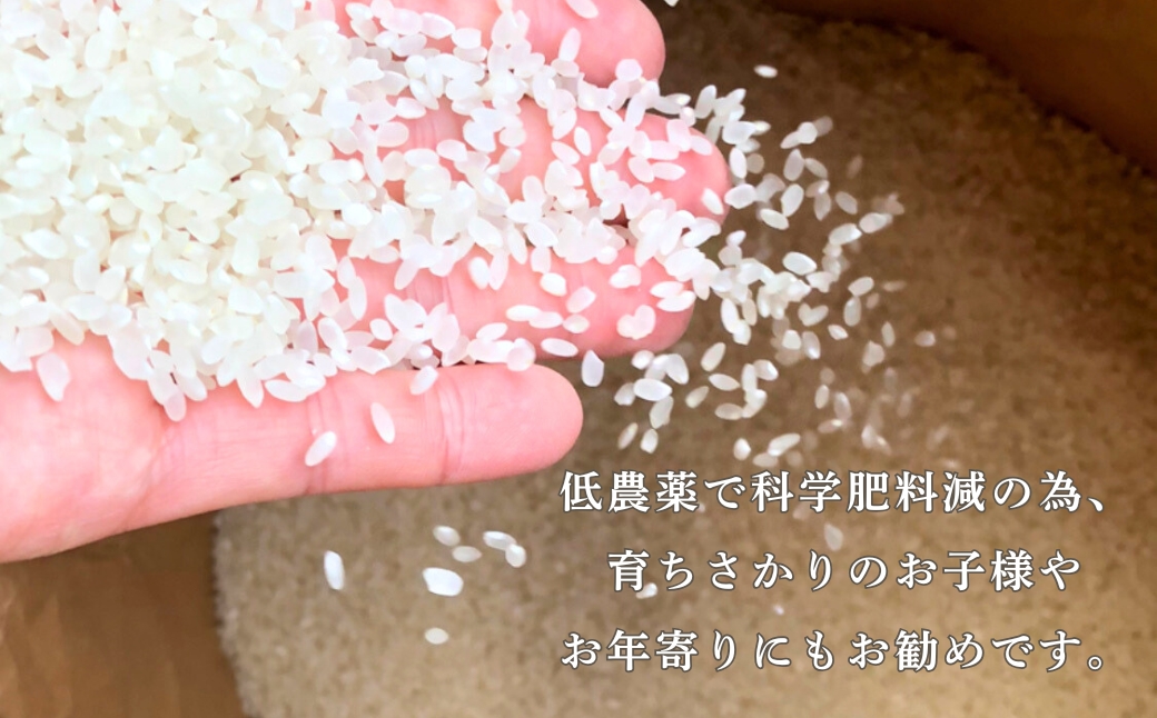 令和7年産 こしひかりカルゲン米 5kg お米 白米 コシヒカリ | 石川県 小松市【坂口農園】