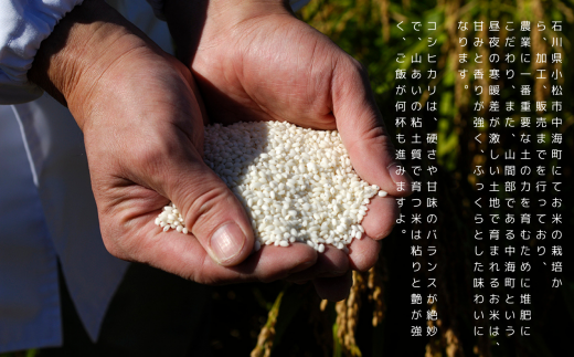 超コシヒカリ 玄米を精米したて白米発送 5kg 米｜石川県 小松市 有限会社のむら農産