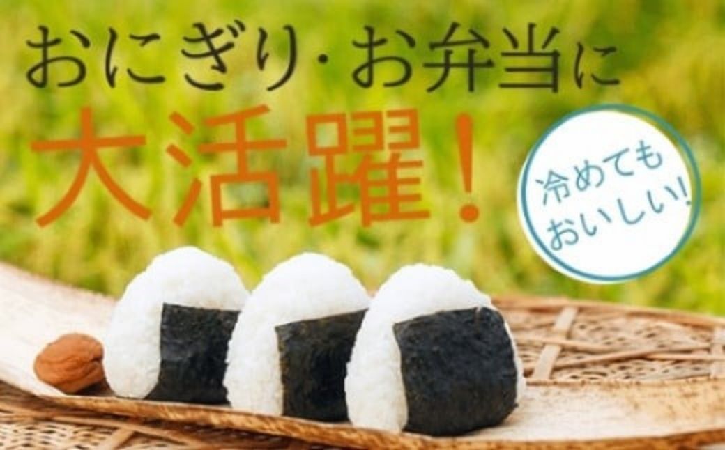 【先行予約】【定期便】令和8年産 小松産 ゆめみづほ 精米 5kg×3ヶ月（毎月） 米 お米｜石川県 小松市 JA小松市