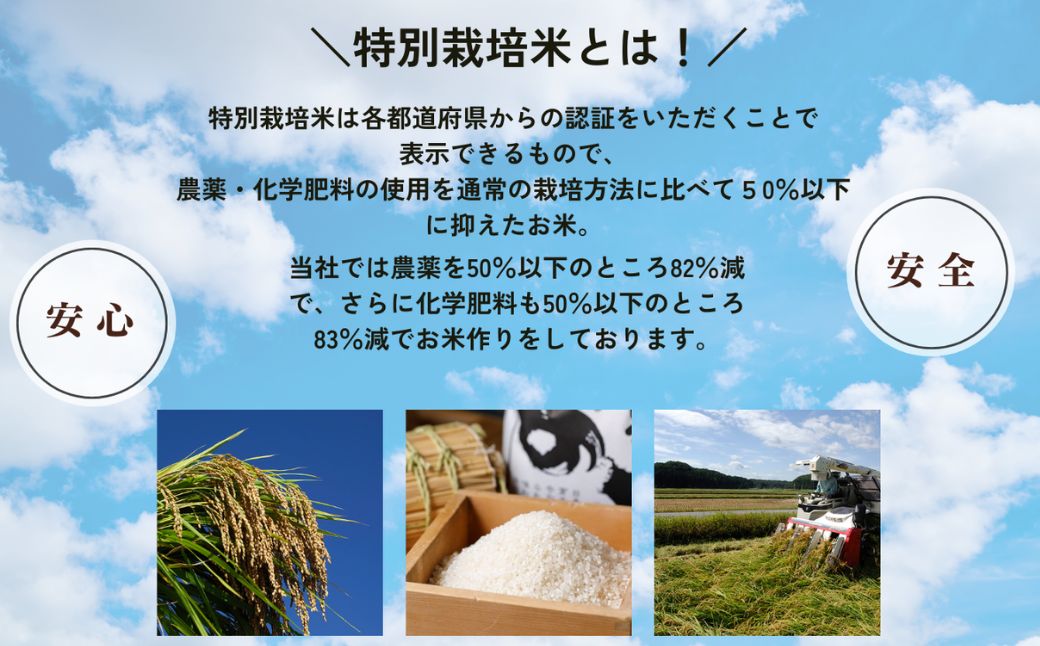【6ヶ月定期便】特栽コシヒカリ 精米 白米 （玄米5kgを精米したて白米発送）令和7年産 こしひかり | 石川県 小松市【のむら農産】